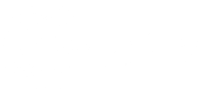 Connections Consulting Partners